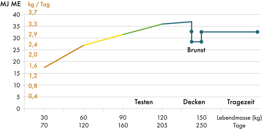 Grafik zur Fütterungsstrategie